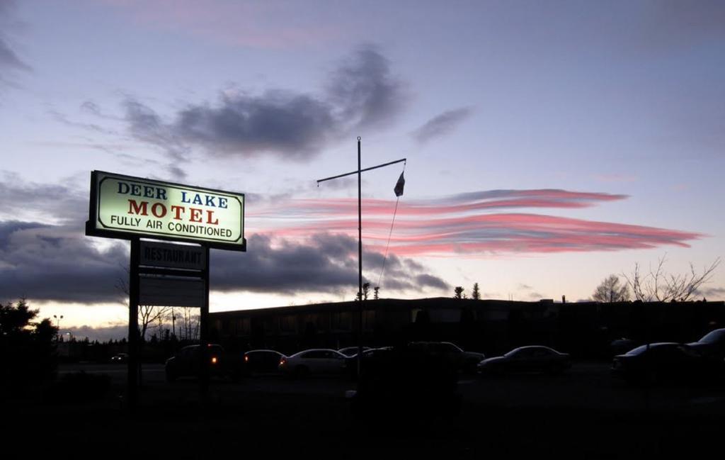 Deer Lake Motel Экстерьер фото